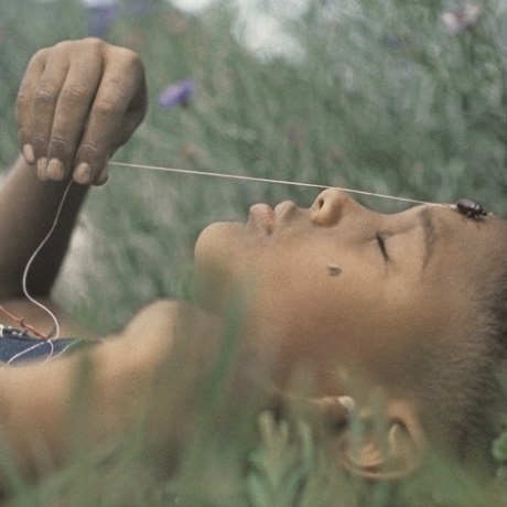 The Cinematic Images of Gordon Parks